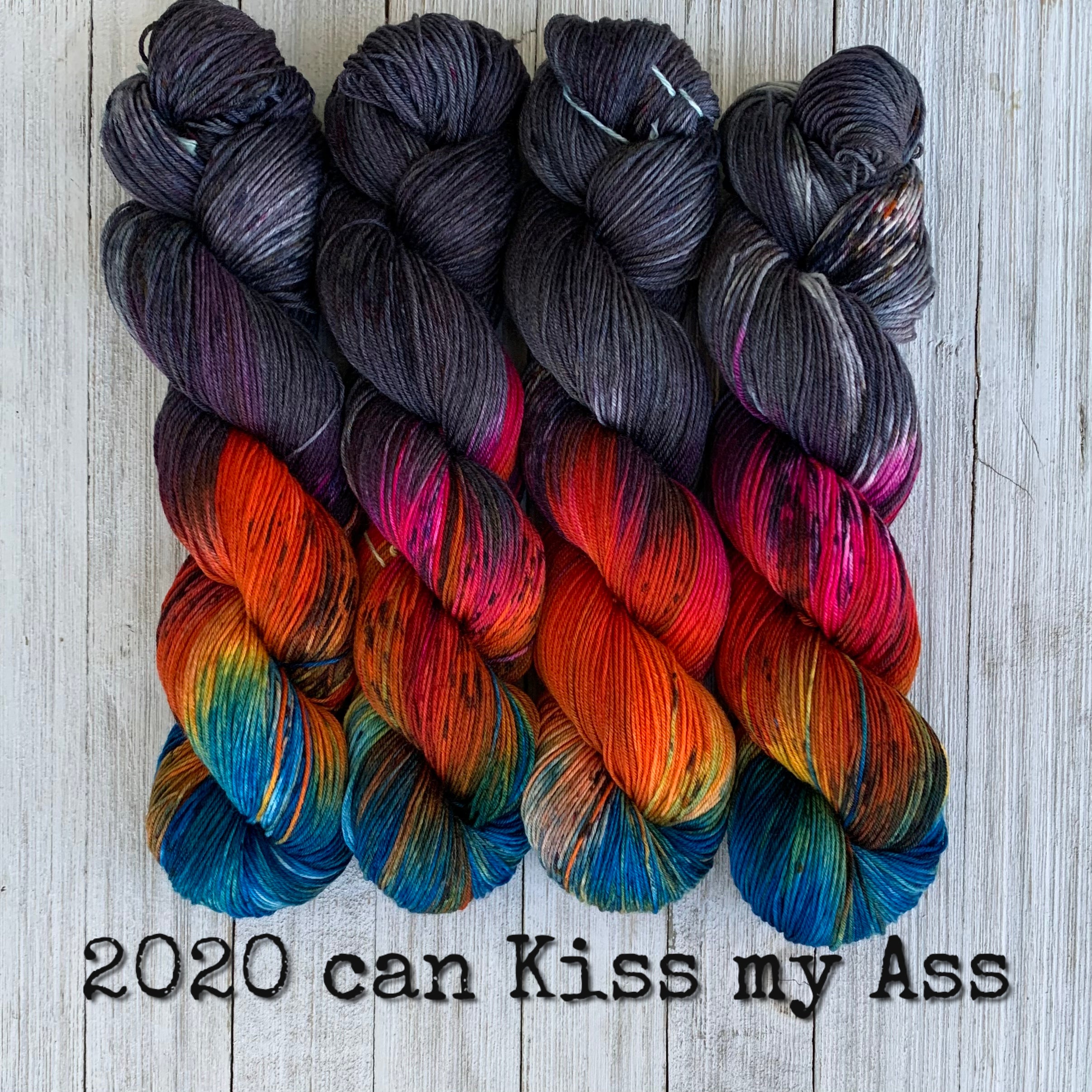 2020 Can Kiss My Ass