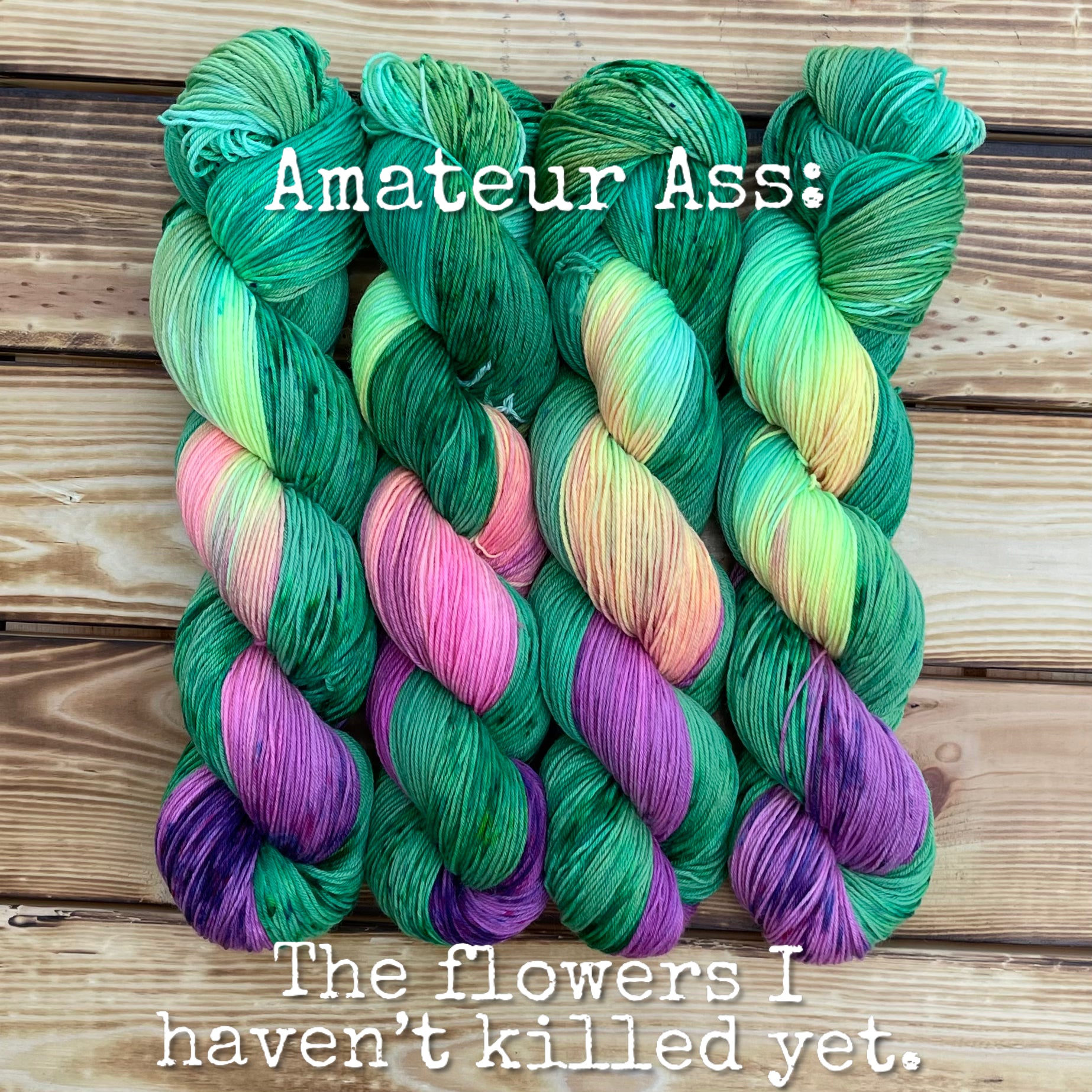 Amateur Ass: The flowers that I haven't killed yet.